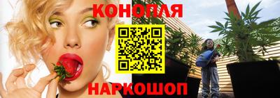 бошки Донецк