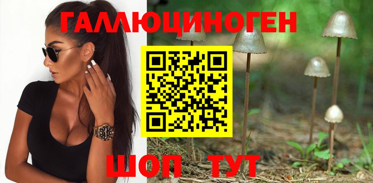 Галлюциногенные грибы мухоморы  Вход с VPN  Лыткарино  Галлюциногенные грибы Cubensis 